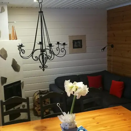 Koivulankaari 4b Chata