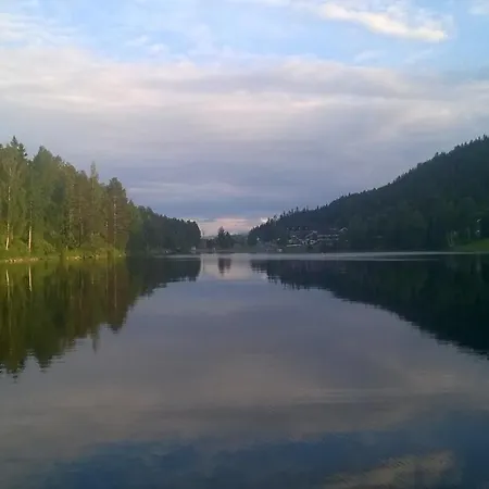 Koivulankaari 4b *